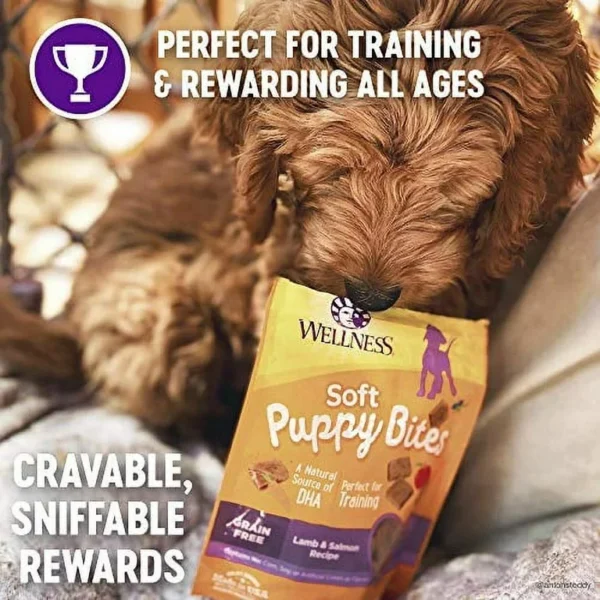 Wellness Soft Puppy Bites Natural Grain-Free Treats for Training, Dog Treats with Real Meat and DHA, No Artificial Flavors (Lamb & Salmon, 8-Ounce Bag) - Image 2