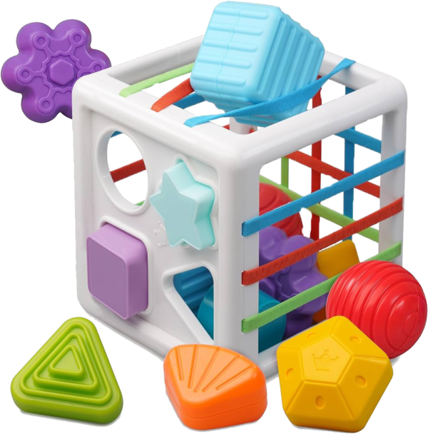 LiKee Montessori Toys for 1+ Year Old, Shape Sorter Baby Toys for Boys Girl Birthday Gift, Colorful One Year Infant Toddler Toy, 10pcs Sensory Blocks Learning &Fine Motor Skills 18+ Months